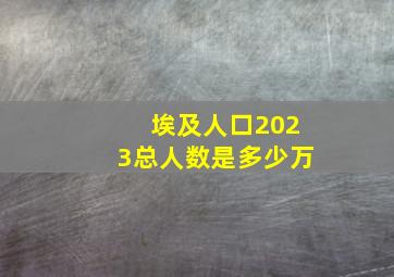 埃及人口2023总人数是多少万