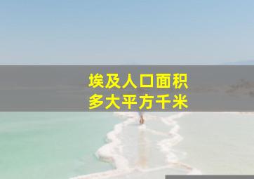 埃及人口面积多大平方千米