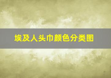 埃及人头巾颜色分类图