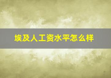 埃及人工资水平怎么样