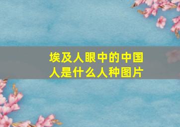 埃及人眼中的中国人是什么人种图片