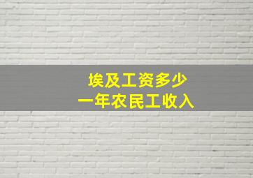 埃及工资多少一年农民工收入