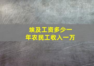 埃及工资多少一年农民工收入一万