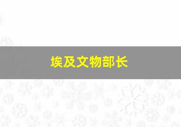 埃及文物部长