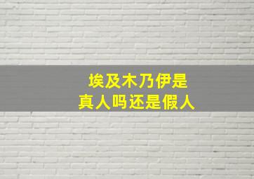 埃及木乃伊是真人吗还是假人