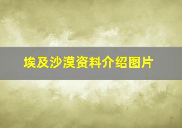 埃及沙漠资料介绍图片