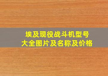 埃及现役战斗机型号大全图片及名称及价格