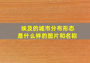 埃及的城市分布形态是什么样的图片和名称