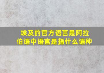 埃及的官方语言是阿拉伯语中语言是指什么语种