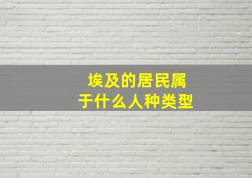 埃及的居民属于什么人种类型