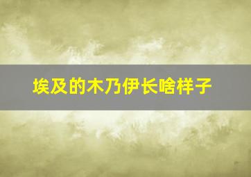 埃及的木乃伊长啥样子