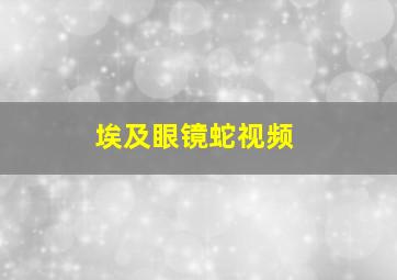 埃及眼镜蛇视频