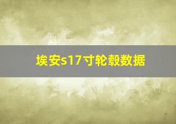 埃安s17寸轮毂数据