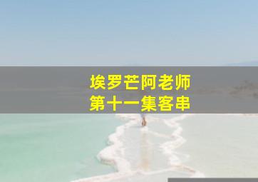 埃罗芒阿老师第十一集客串