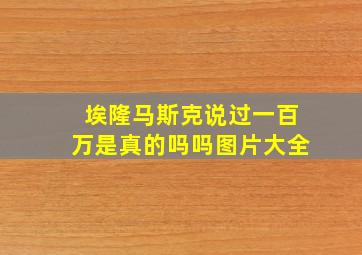 埃隆马斯克说过一百万是真的吗吗图片大全