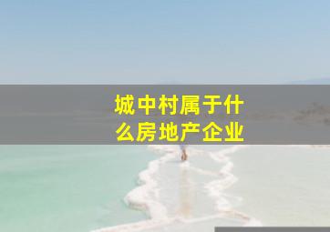 城中村属于什么房地产企业