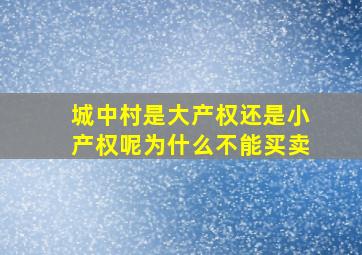 城中村是大产权还是小产权呢为什么不能买卖