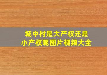 城中村是大产权还是小产权呢图片视频大全