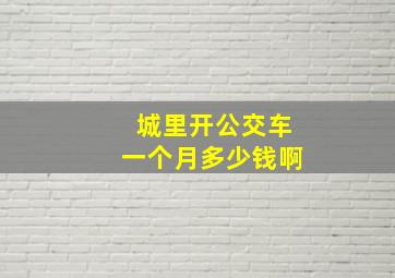 城里开公交车一个月多少钱啊