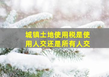 城镇土地使用税是使用人交还是所有人交