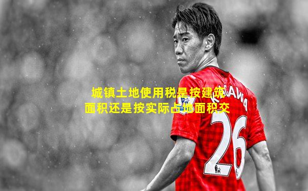 城镇土地使用税是按建筑面积还是按实际占地面积交