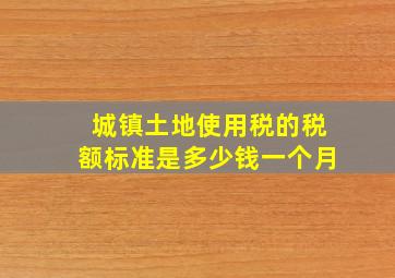 城镇土地使用税的税额标准是多少钱一个月