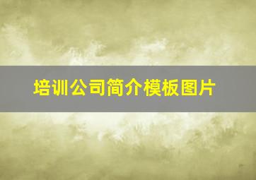 培训公司简介模板图片