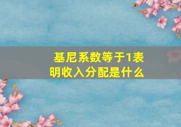 基尼系数等于1表明收入分配是什么