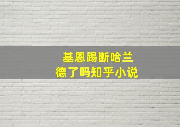 基恩踢断哈兰德了吗知乎小说