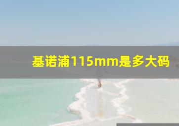 基诺浦115mm是多大码