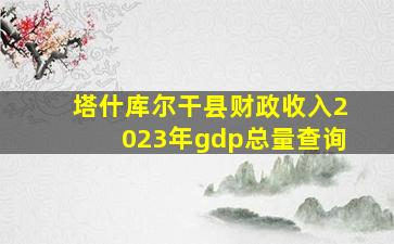 塔什库尔干县财政收入2023年gdp总量查询