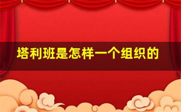 塔利班是怎样一个组织的