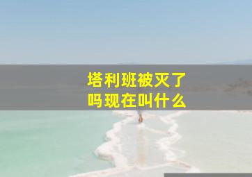 塔利班被灭了吗现在叫什么