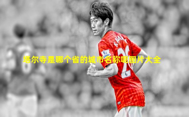 塔尔寺是哪个省的城市名称呢图片大全