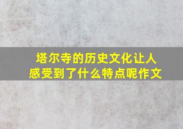 塔尔寺的历史文化让人感受到了什么特点呢作文