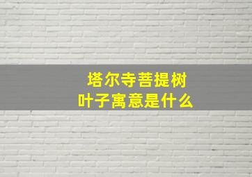 塔尔寺菩提树叶子寓意是什么