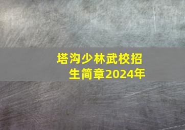 塔沟少林武校招生简章2024年