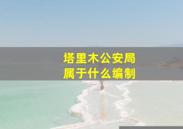 塔里木公安局属于什么编制