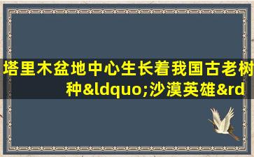 塔里木盆地中心生长着我国古老树种“沙漠英雄”