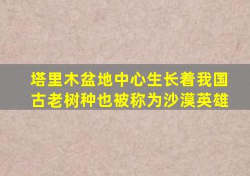 塔里木盆地中心生长着我国古老树种也被称为沙漠英雄