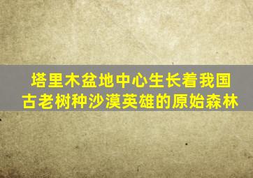 塔里木盆地中心生长着我国古老树种沙漠英雄的原始森林