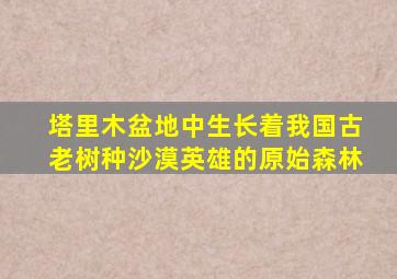 塔里木盆地中生长着我国古老树种沙漠英雄的原始森林