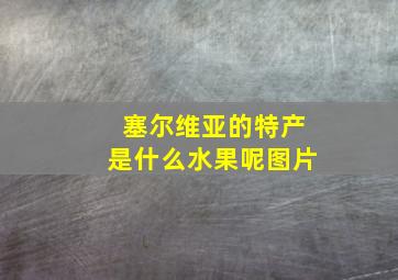 塞尔维亚的特产是什么水果呢图片