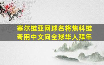 塞尔维亚网球名将焦科维奇用中文向全球华人拜年