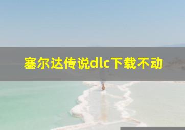 塞尔达传说dlc下载不动