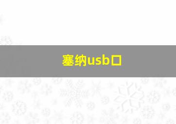 塞纳usb口