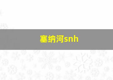 塞纳河snh