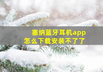 塞纳蓝牙耳机app怎么下载安装不了了