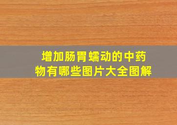 增加肠胃蠕动的中药物有哪些图片大全图解