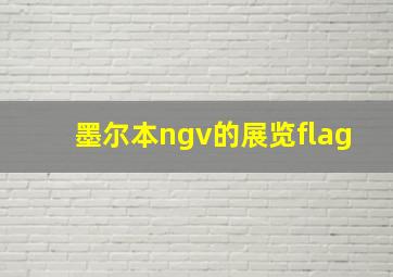 墨尔本ngv的展览flag